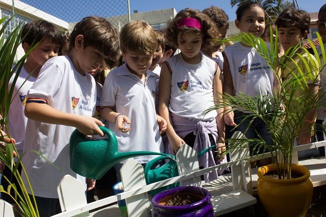 Semana do Meio Ambiente marca mês de junho no Vieira