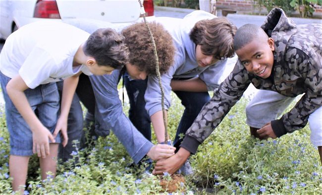 Estudantes do 8º ano EF fazem plantio de espécies da Mata Atlântica no Bosque do Vieira