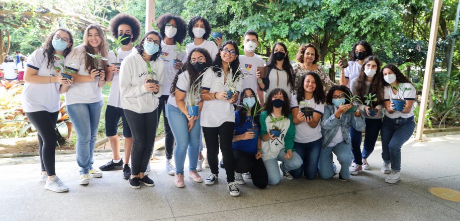 Do Jogo do Biodegradável ao abraço no bosque, ações  especiais marcam Semana do Meio Ambiente