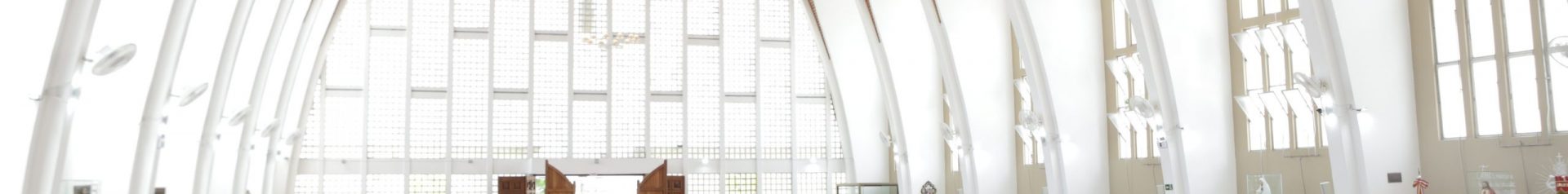 Banner - Galeria de Fotos