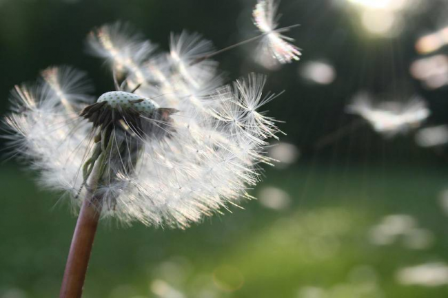 A dificuldade para falar de sentimentos nos dias atuais é tema de artigo de jesuíta